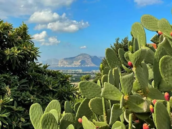 Il Siciliano Home Palermo